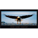 Aero Phoenix - Cleared to Land, Eagle Poster, Laminated