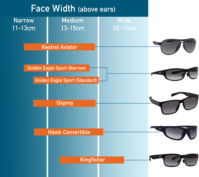 Wayfarer ray ban size chart online