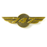 Boeing - 747 Wings Pin