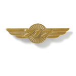 Boeing - 717 Heritage Wings Pin