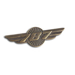 Boeing - 787 Wings Pin
