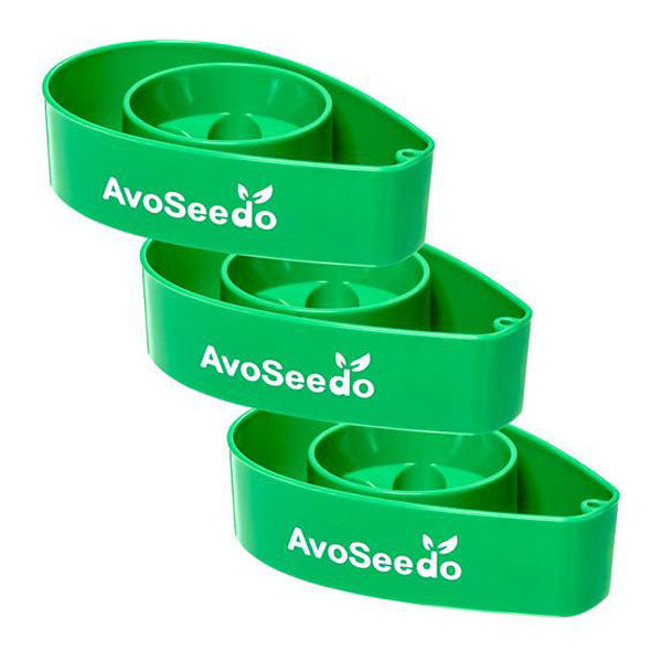 AvoSeedo - Avocado Seed Incubator | 3 Pack – Pilots HQ LLC.