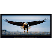 Aero Phoenix - Cleared to Land, Eagle Poster | B APX 100