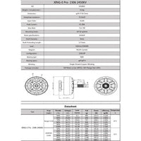 XING-E Pro 2306 2-6S FPV Unibell Motor