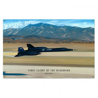 Vintage Signs - Flight Of The Blackbird 36in x 24in | STK121